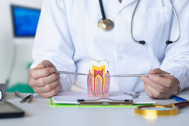 Best Emergency Gum Treatment in Kean University, NJ